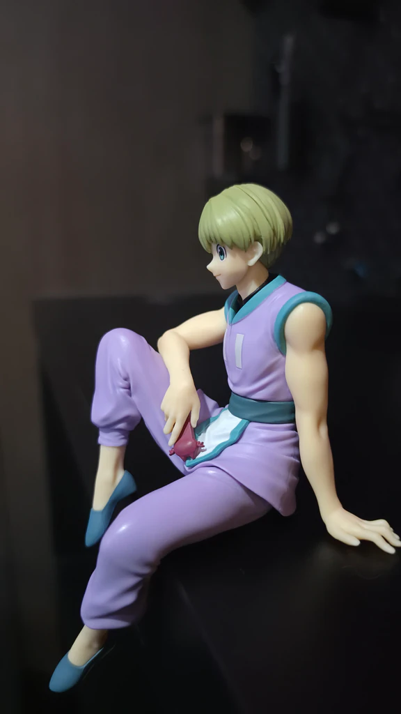 Hunter x Hunter Collections