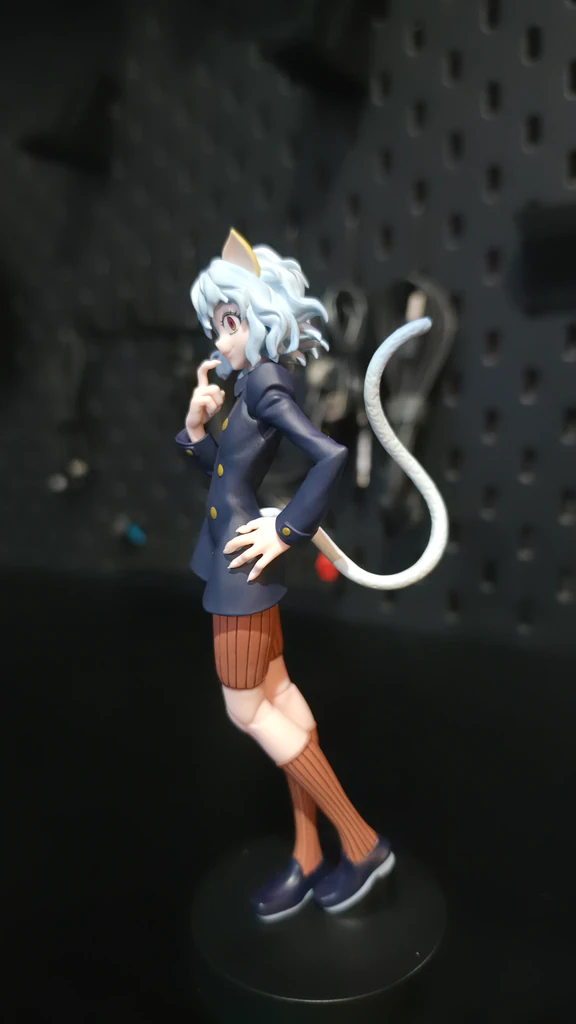 Hunter x Hunter Collections