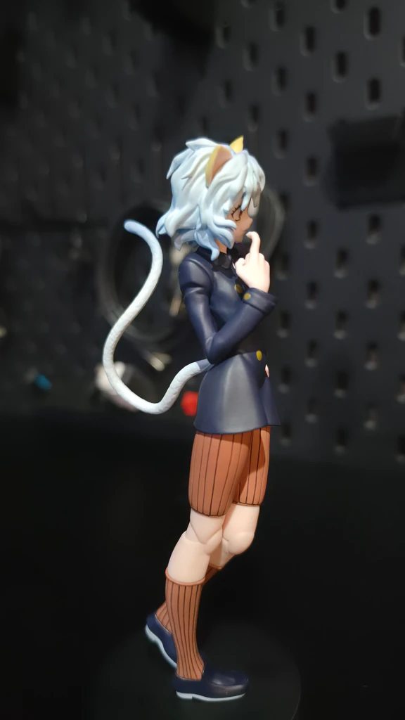 Hunter x Hunter Collections
